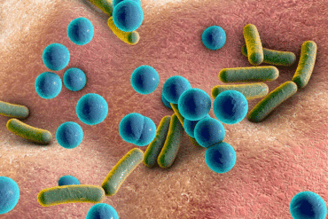skin bacteria and microbiome